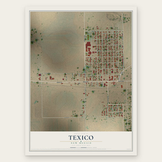 Texico, New Mexico map print, the full design