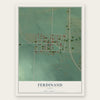 Ferdinand, Idaho map print, the full design
