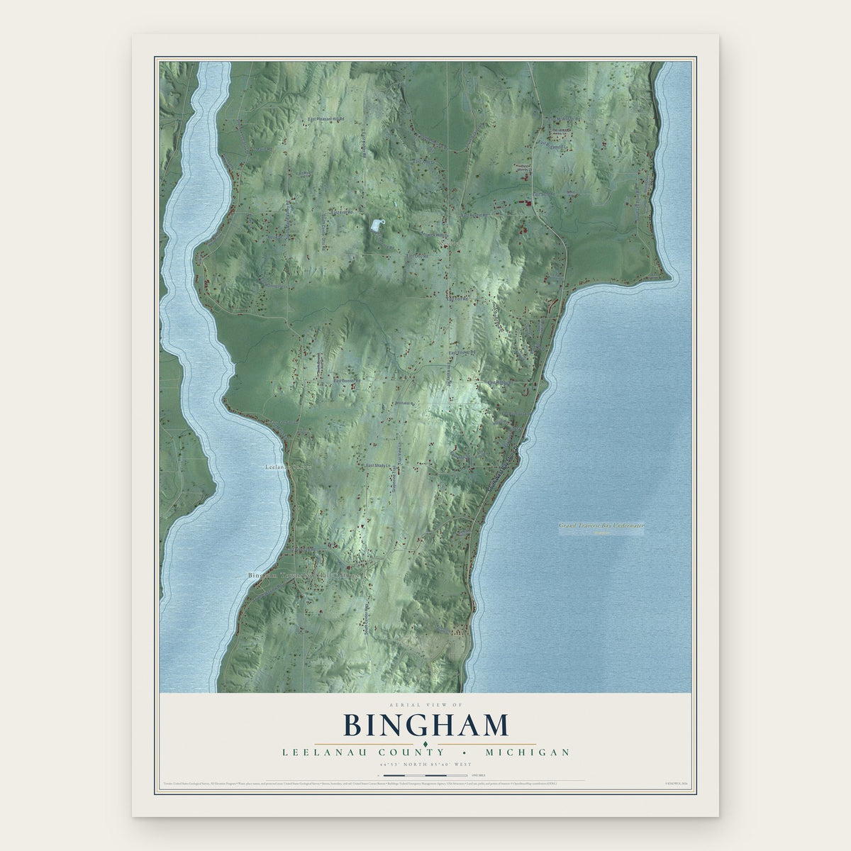 Bingham, Leelanau County, Michigan map print, the full design