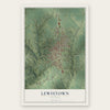 Lewistown, Illinois map print, the full design