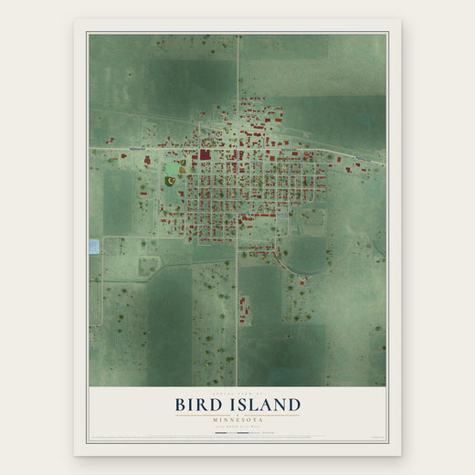 Bird Island, Minnesota map print, the full design