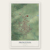 Princeton, Illinois map print, the full design