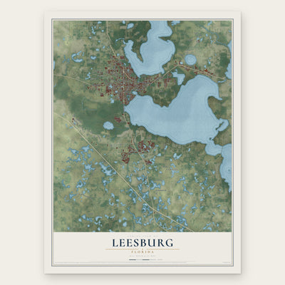 Leesburg, Florida map print, the full design
