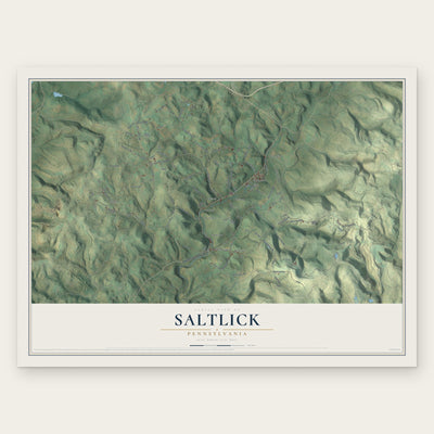 Saltlick, Pennsylvania map print, the full design
