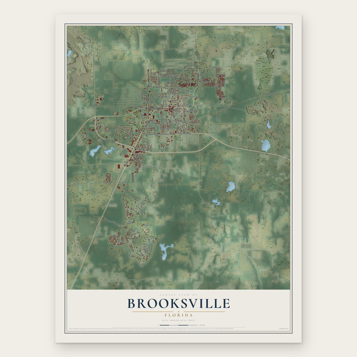 Brooksville, Florida map print, the full design
