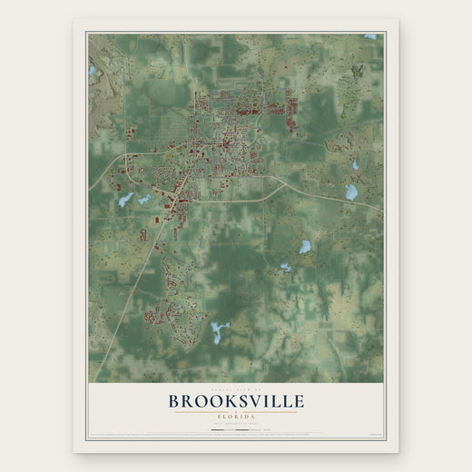 Brooksville, Florida map print, the full design