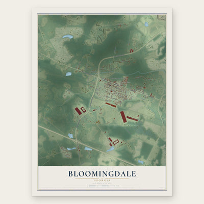 Bloomingdale, Georgia map print, the full design