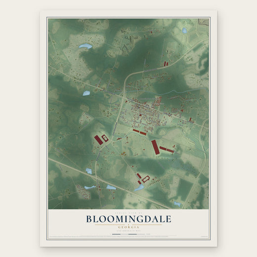 Bloomingdale, Georgia map print, the full design