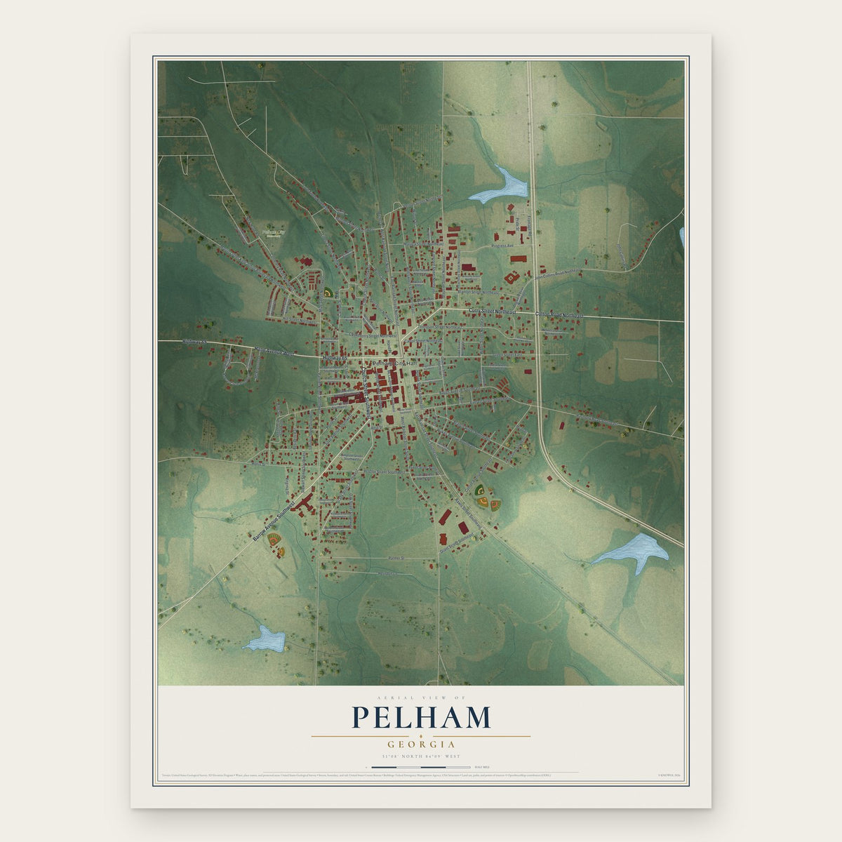 Pelham, Georgia map print, the full design