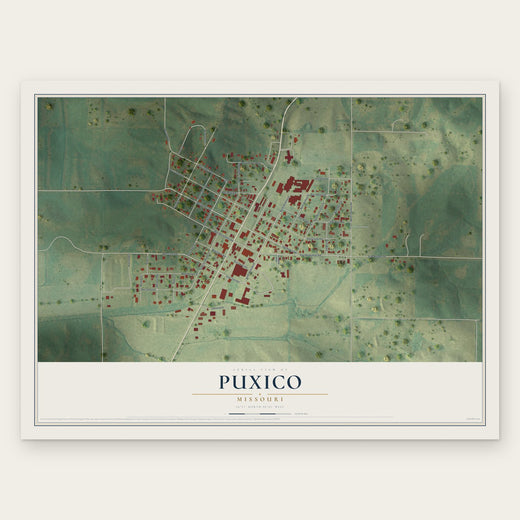 Puxico, Missouri map print, the full design