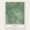 Evart, Osceola County, Michigan map print, the full design