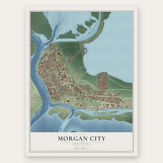 Morgan City, Louisiana map print, the full design