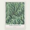 Town of Walton, New York map print, the full design