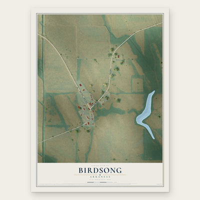 Birdsong, Arkansas map print, the full design