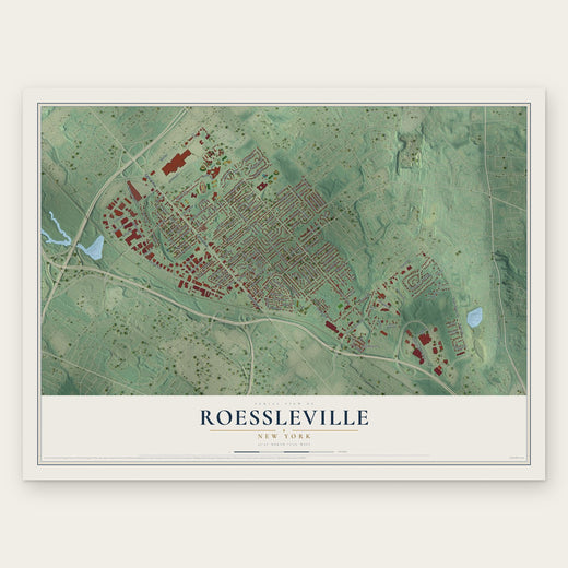 Roessleville, New York map print, the full design