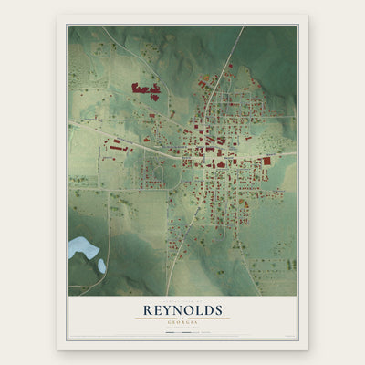 Reynolds, Georgia map print, the full design