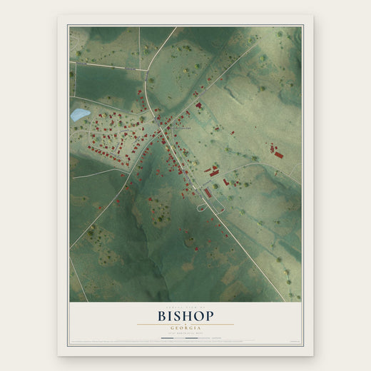 Bishop, Georgia map print, the full design