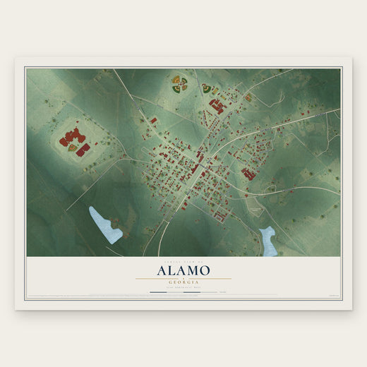 Alamo, Georgia map print, the full design