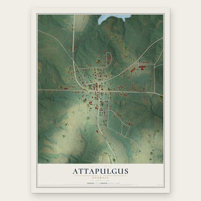 Attapulgus, Georgia map print, the full design
