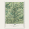 Lima, Grant County, Wisconsin map print, the full design
