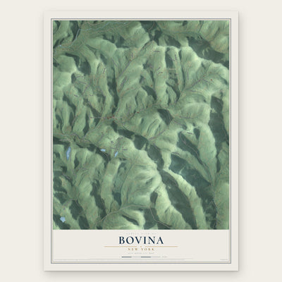 Bovina, New York map print, the full design
