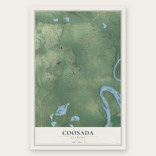 Coosada, Alabama map print, the full design