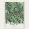 Boones Mill, Virginia map print, the full design