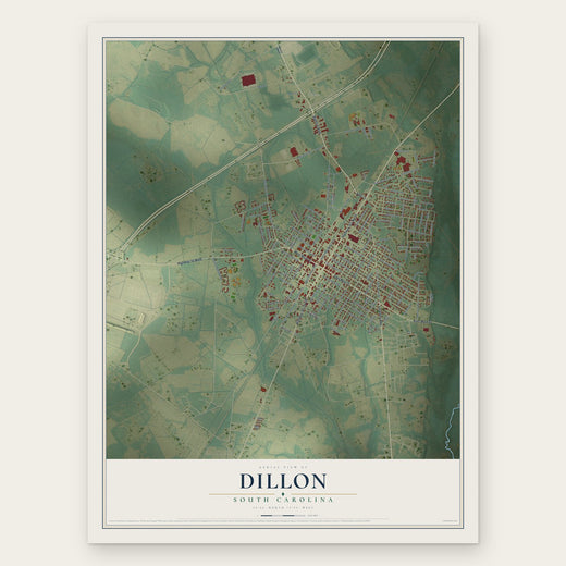 Dillon, South Carolina map print, the full design