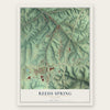 Reeds Spring, Missouri map print, the full design