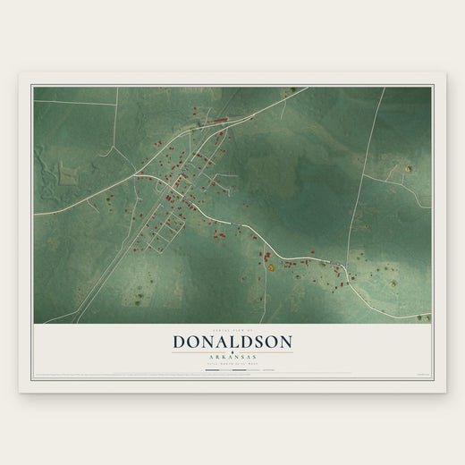 Donaldson, Arkansas map print, the full design