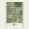 Gifford, Illinois map print, the full design