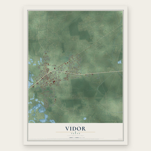 Vidor, Texas map print, the full design