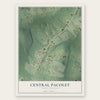Central Pacolet, South Carolina map print, the full design