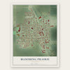 Blooming Prairie, Minnesota map print, the full design
