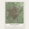 North Tustin, California map print, the full design