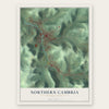 Northern Cambria, Pennsylvania map print, the full design