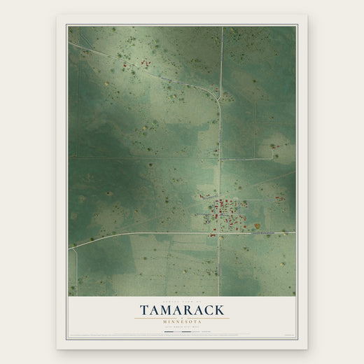 Tamarack, Minnesota map print, the full design