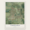 Carrier Mills, Illinois map print, the full design