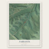 Tarrants, Missouri map print, the full design