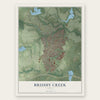 Brushy Creek, Texas map print, the full design