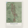Bridgeview, Illinois map print, the full design