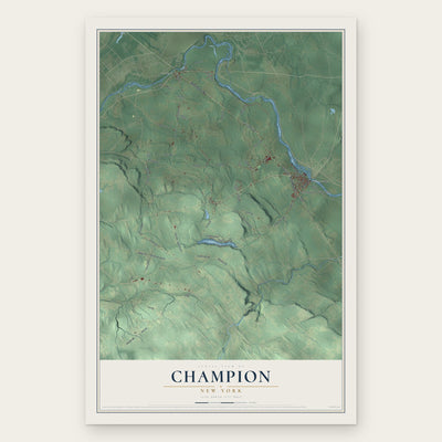 Champion, New York map print, the full design
