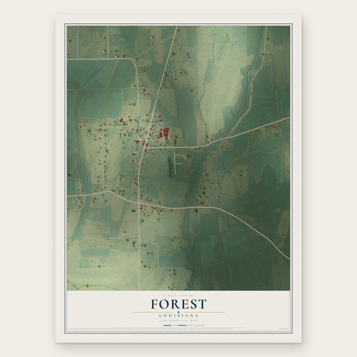 Forest, Louisiana map print, the full design
