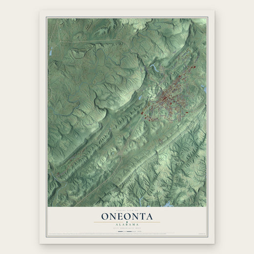 Oneonta, Alabama map print, the full design