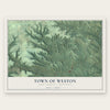 Town of Weston, Dunn County, Wisconsin map print, the full design