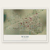 Walsh, Colorado map print, the full design