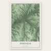Pineville, Missouri map print, the full design