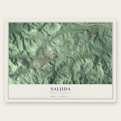 Saluda, North Carolina map print, the full design