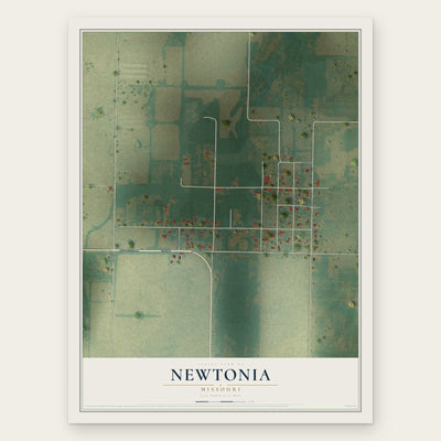 Newtonia, Missouri map print, the full design