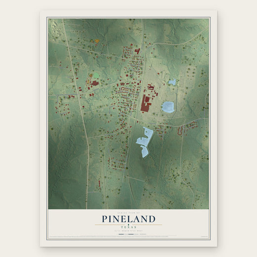 Pineland, Texas map print, the full design
